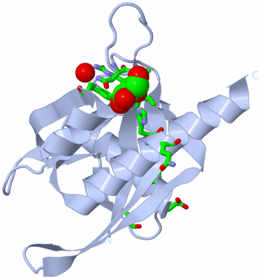 Image Biol. Unit 1 - sites