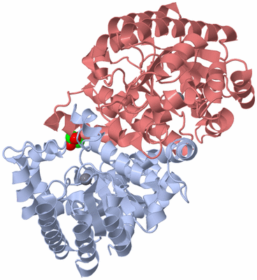 Image Biological Unit 1