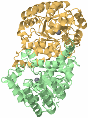 Image Biological Unit 2