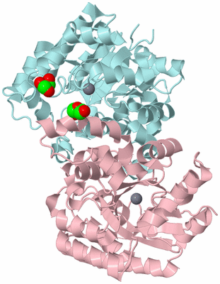 Image Biological Unit 3