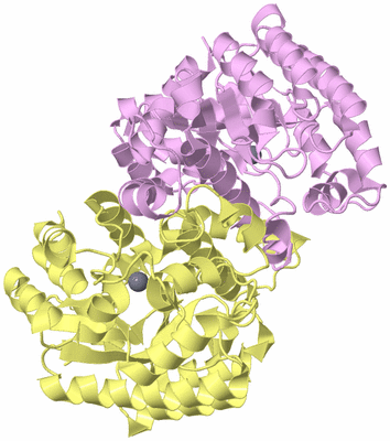 Image Biological Unit 4