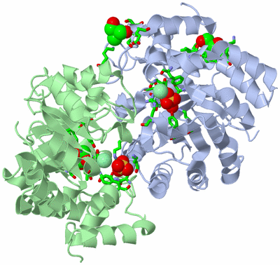 Image Asym./Biol. Unit - sites