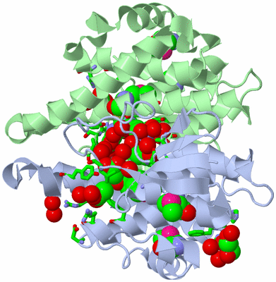 Image Asym./Biol. Unit - sites