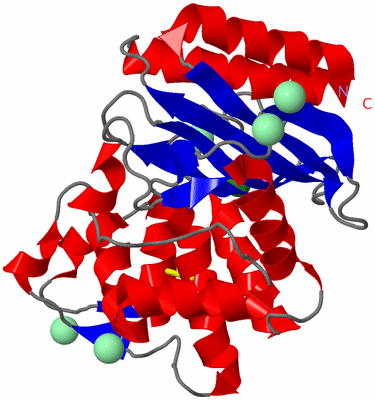 Image Asym./Biol. Unit