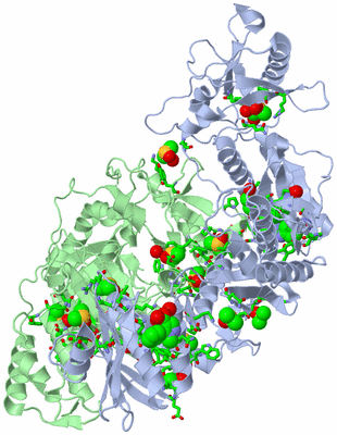 Image Asym./Biol. Unit - sites