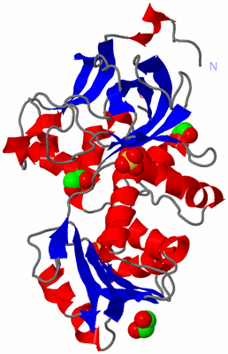 Image Asym./Biol. Unit