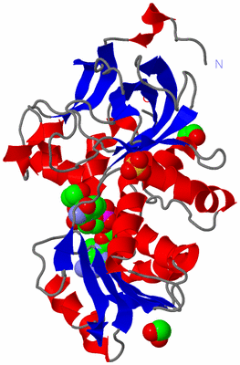 Image Asym./Biol. Unit