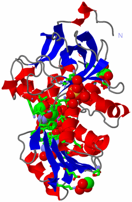 Image Asym./Biol. Unit - sites