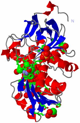 Image Asym./Biol. Unit - sites