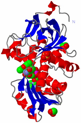 Image Asym./Biol. Unit