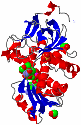 Image Asym./Biol. Unit