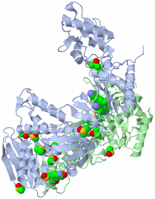 Image Asym./Biol. Unit