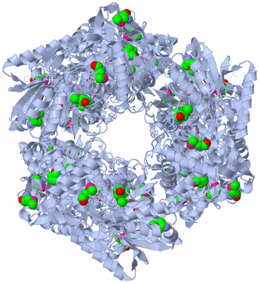 Image Biological Unit 2