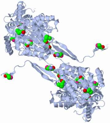 Image Biological Unit 3