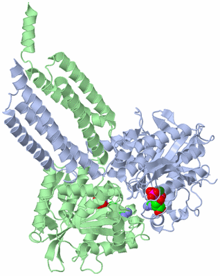 Image Asym./Biol. Unit