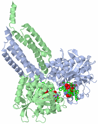 Image Asym./Biol. Unit - sites