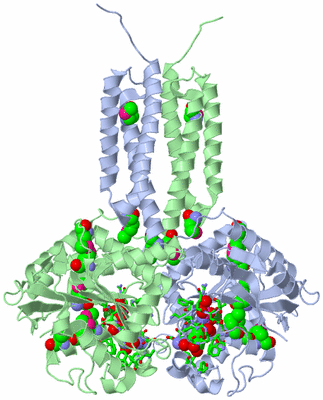 Image Biol. Unit 1 - sites