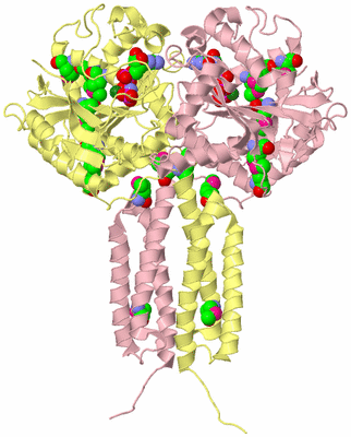 Image Biological Unit 2