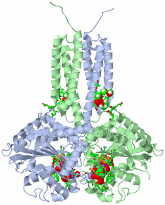 Image Biol. Unit 1 - sites