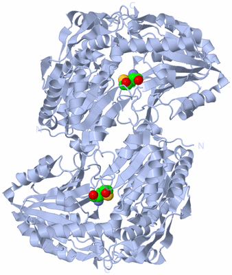 Image Biological Unit 1