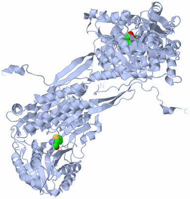 Image Biological Unit 3