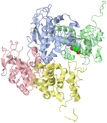 Image Biological Unit 1