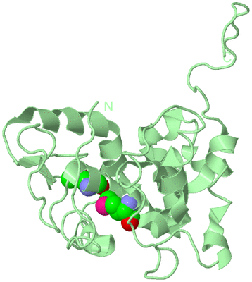 Image Biological Unit 3