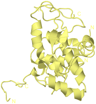 Image Biological Unit 5