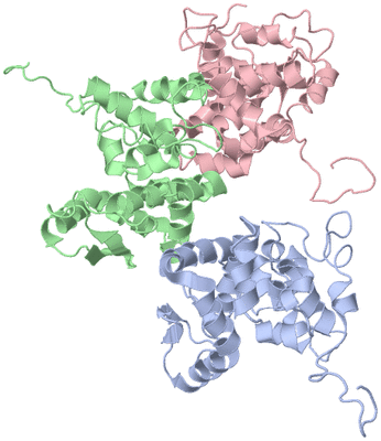 Image Biological Unit 1