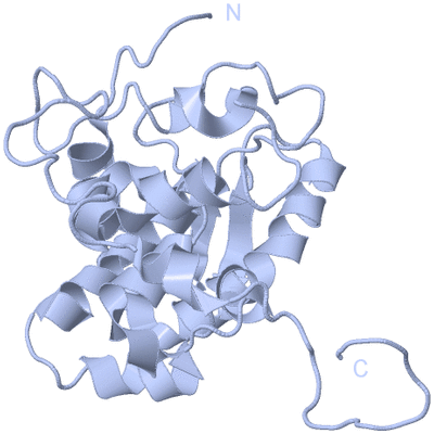 Image Biological Unit 3