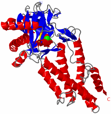 Image Asym./Biol. Unit