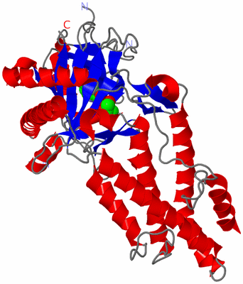 Image Asym./Biol. Unit