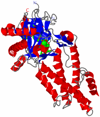 Image Asym./Biol. Unit - sites