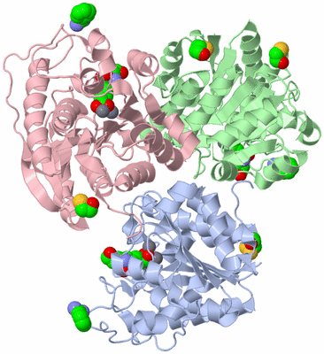 Image Biological Unit 1