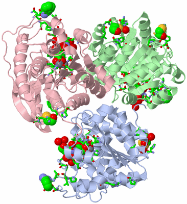 Image Biol. Unit 1 - sites