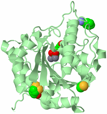 Image Biological Unit 3