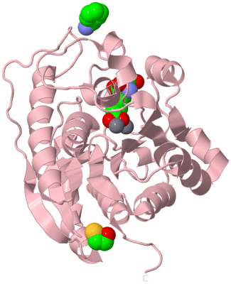 Image Biological Unit 4