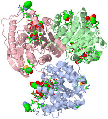 Image Biol. Unit 1 - sites