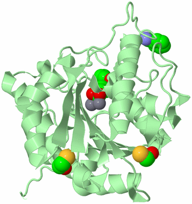 Image Biological Unit 3