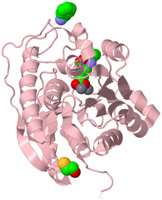 Image Biological Unit 4