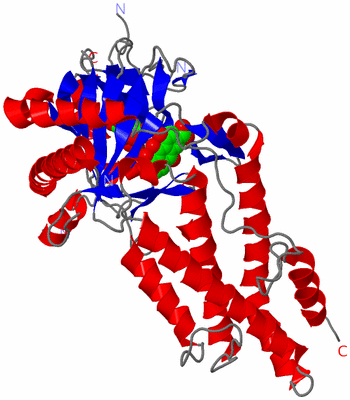 Image Asym./Biol. Unit