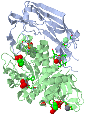 Image Biol. Unit 1 - sites