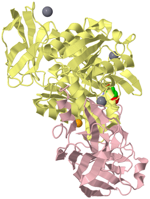 Image Biological Unit 2