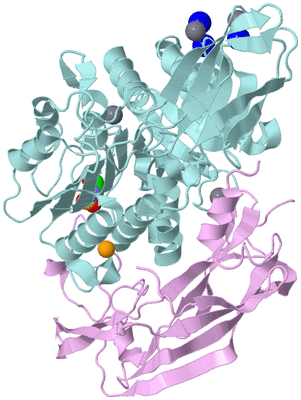 Image Biological Unit 3