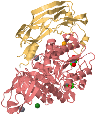 Image Biological Unit 4