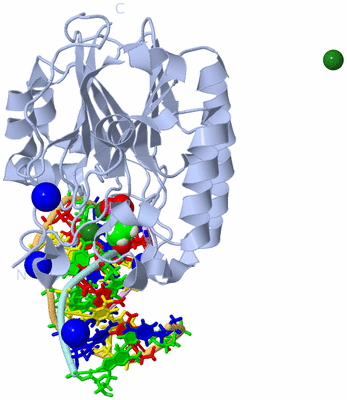 Image Biological Unit 1