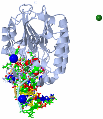 Image Biol. Unit 1 - sites