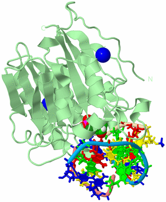 Image Biological Unit 2