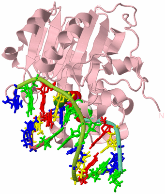 Image Biological Unit 3