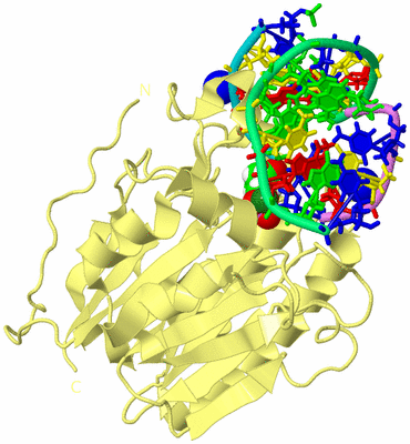 Image Biological Unit 4